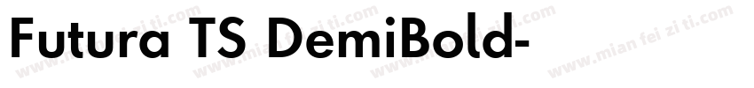 Futura TS DemiBold字体转换